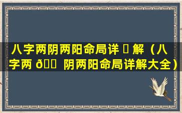 八字两阴两阳命局详 ☘ 解（八字两 🐠 阴两阳命局详解大全）